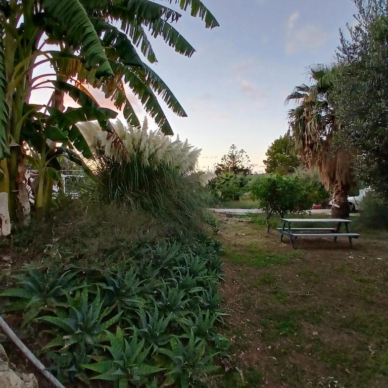 Levriero1 - Casa con 2 Camere da Letto - 68