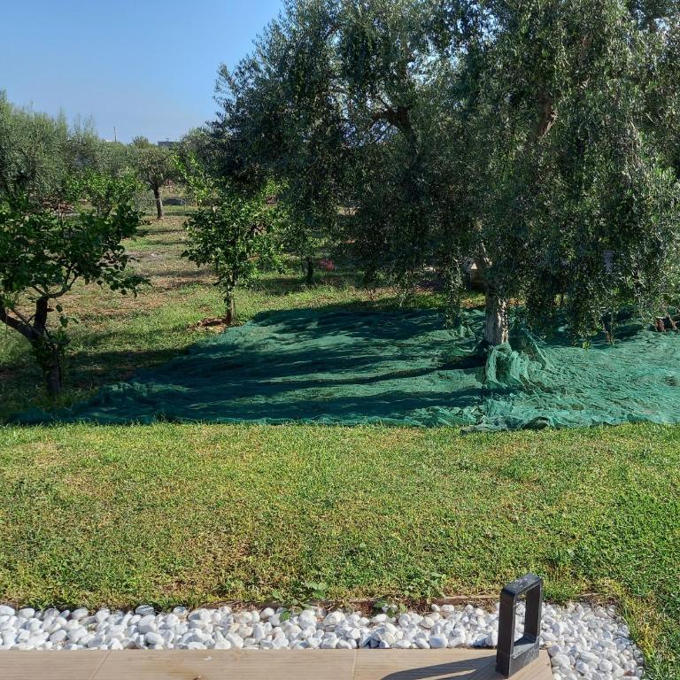 Levriero1 - Casa con 2 Camere da Letto - 75