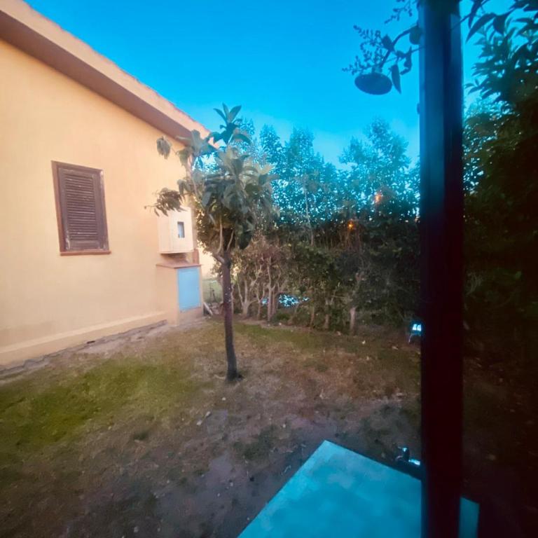 Villette Oasi - Villa - 31