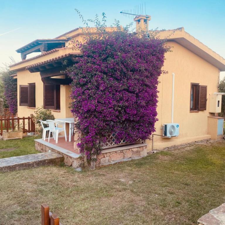 Villette Oasi - Villa - 22