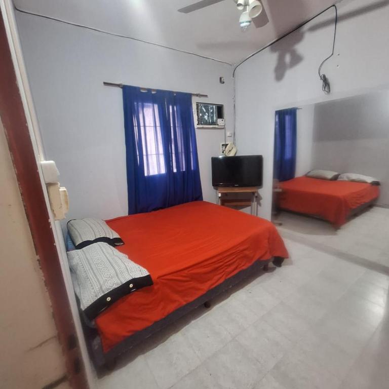 Teresa - Apartamento de 1 dormitorio - 4