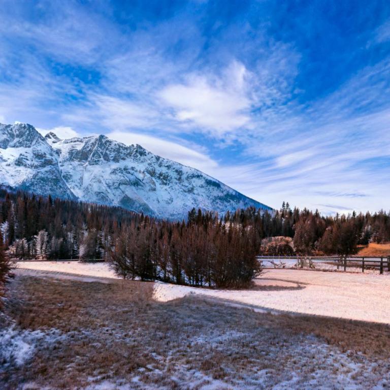 Fiore del Brenta 2 a 50 m dalla fermata dello skibus gratuito - Appartamento Attico - 7