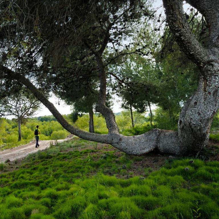Villa in Spain at Las Colinas Golf & Country Club - Villa de 3 dormitorios - 52