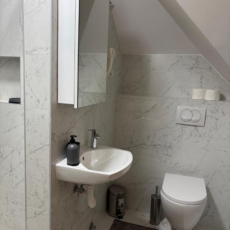 Alexandro Apartmani Zlatibor - King Studio with Sofa Bed - 16