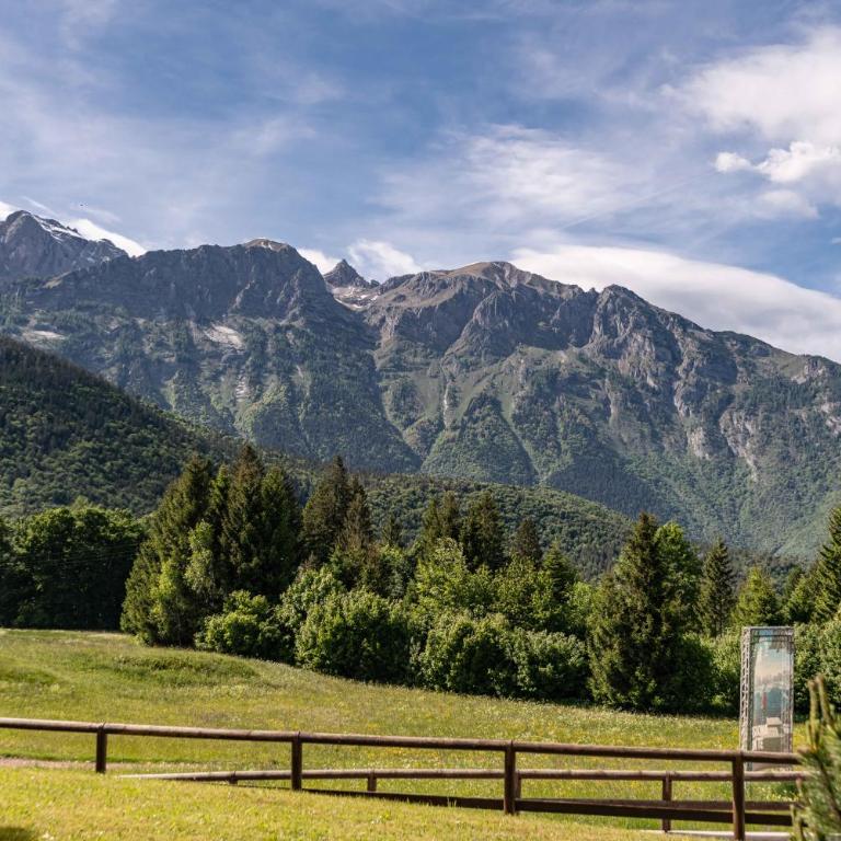 Fiore del Brenta 2 a 50 m dalla fermata dello skibus gratuito - Appartamento Attico - 56