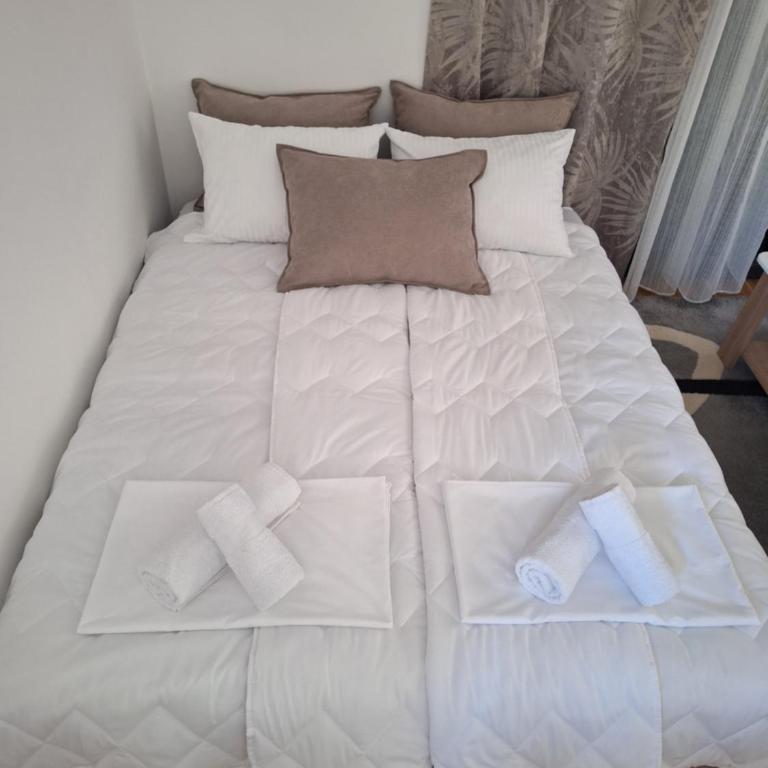Apartman IGOR Trebinje - Apartman sa 1 Spavaćom Sobom - 42