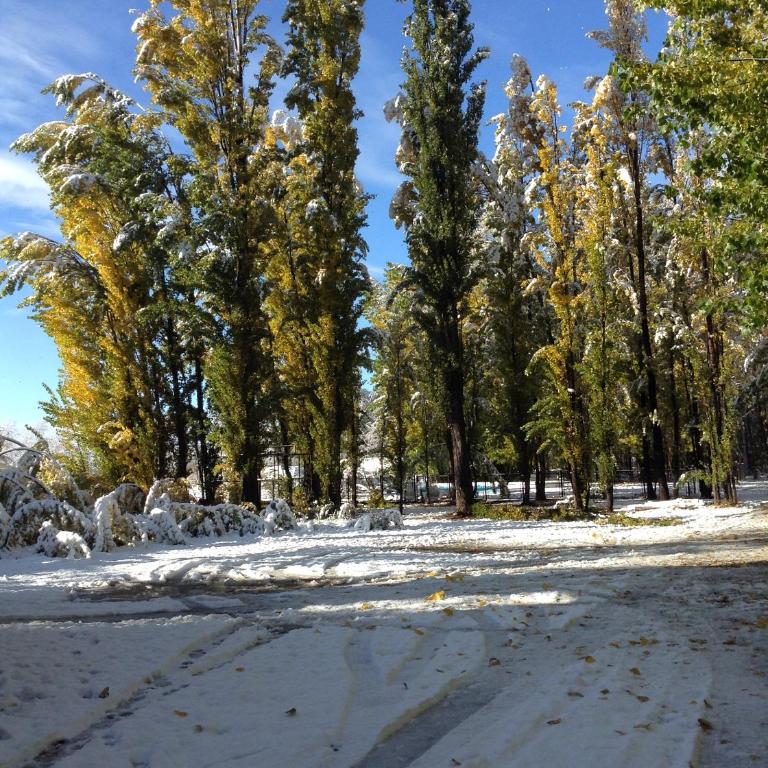Bosque De Sol Cabañas 2 Y 3 - Bungalow - 49