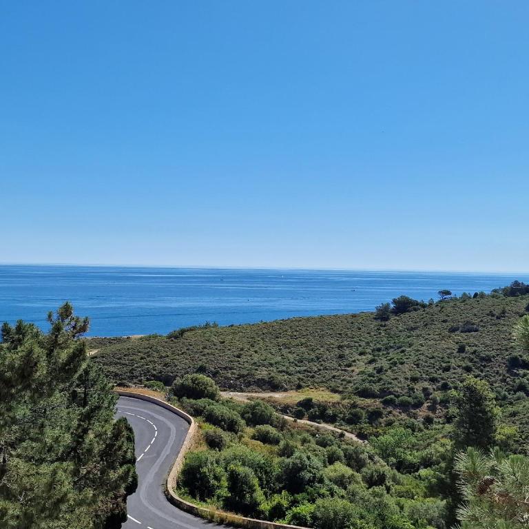 Appartement à Banyuls-sur-Mer avec Vue sur Mer et Parking - FR-1-309-6 - Apartamento de 1 dormitorio - 3