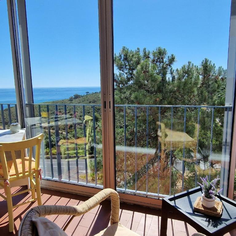 Appartement à Banyuls-sur-Mer avec Vue sur Mer et Parking - FR-1-309-6 - Apartamento de 1 dormitorio - 4