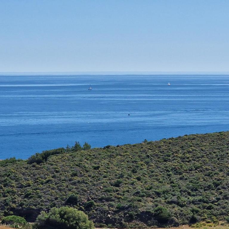 Appartement à Banyuls-sur-Mer avec Vue sur Mer et Parking - FR-1-309-6 - Apartamento de 1 dormitorio - 8
