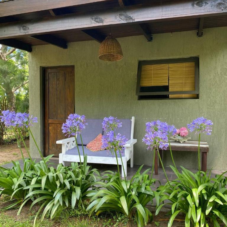 Cabañas Entre Pinos. Cerca de la Playa - Bungalow con vistas al jardín - 2