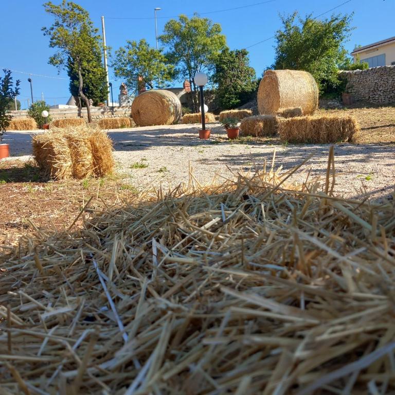 Il trullo della nonna - Casa con 2 Camere da Letto - 13