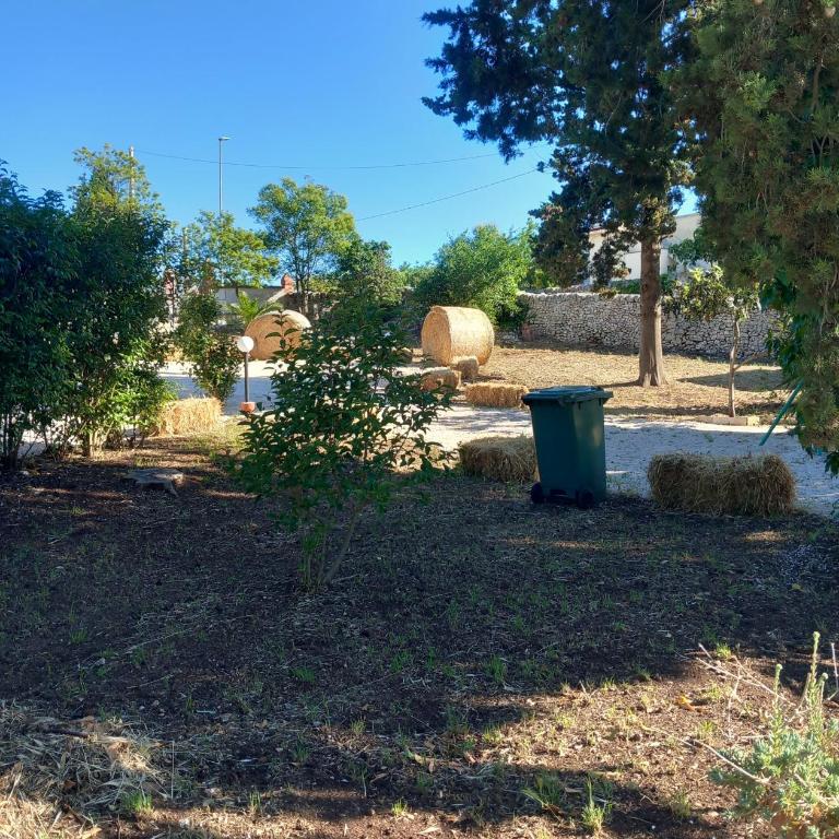 Trullo martina - Casa con 1 Camera da Letto - 11