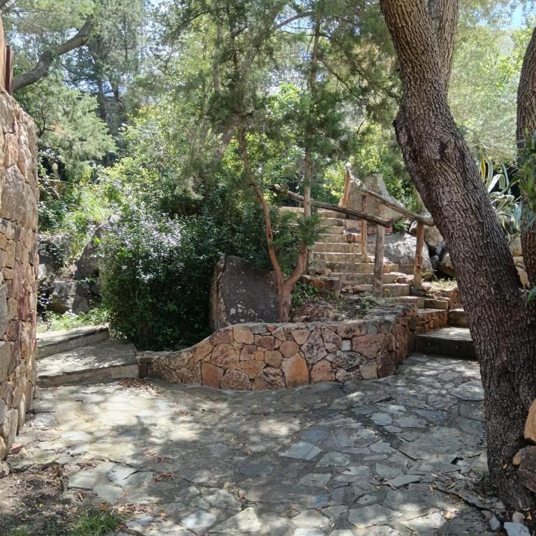 Apartments Nicole - Appartamento con 1 Camera da Letto - 34
