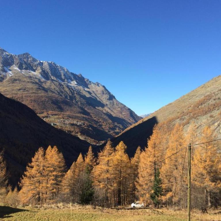 Älpi Retreat by Saas Grund - Apartment mit 2 Schlafzimmern - 17