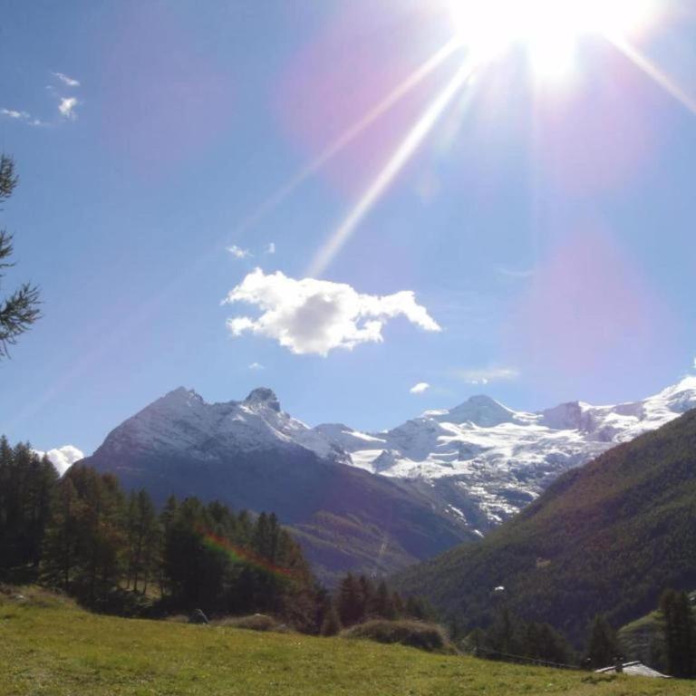 Älpi Retreat by Saas Grund - Apartment mit 2 Schlafzimmern - 25