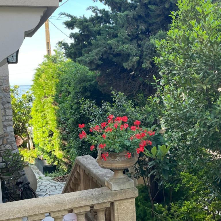 Villa Tricia Cannes - Chambre Double Supérieure avec Balcon - Vue Directe sur Mer - 11
