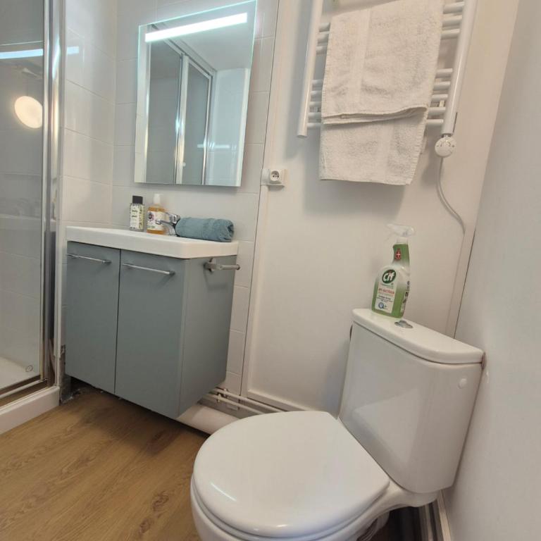 Studio Rouen Centre Historique 2 Personnes L'Olive - Two-Bedroom Apartment - 11