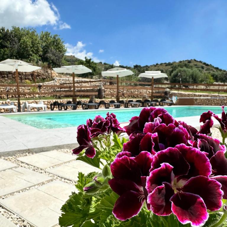 Villa Monte Sereno - Villa con 3 Camere da Letto - 7