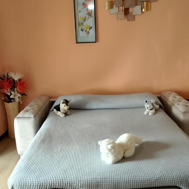 The Nest of Envy - Appartamentino su 2 Livelli - 59