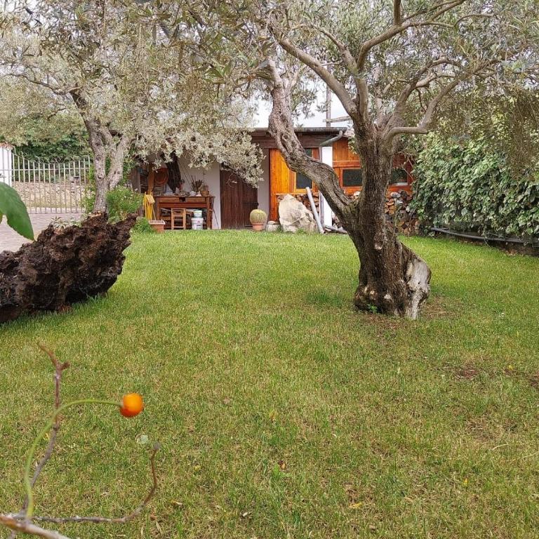 NURAS - Casa Marina Seaview - Peaceful Retreat - Appartamento con 2 Camere da Letto - 45