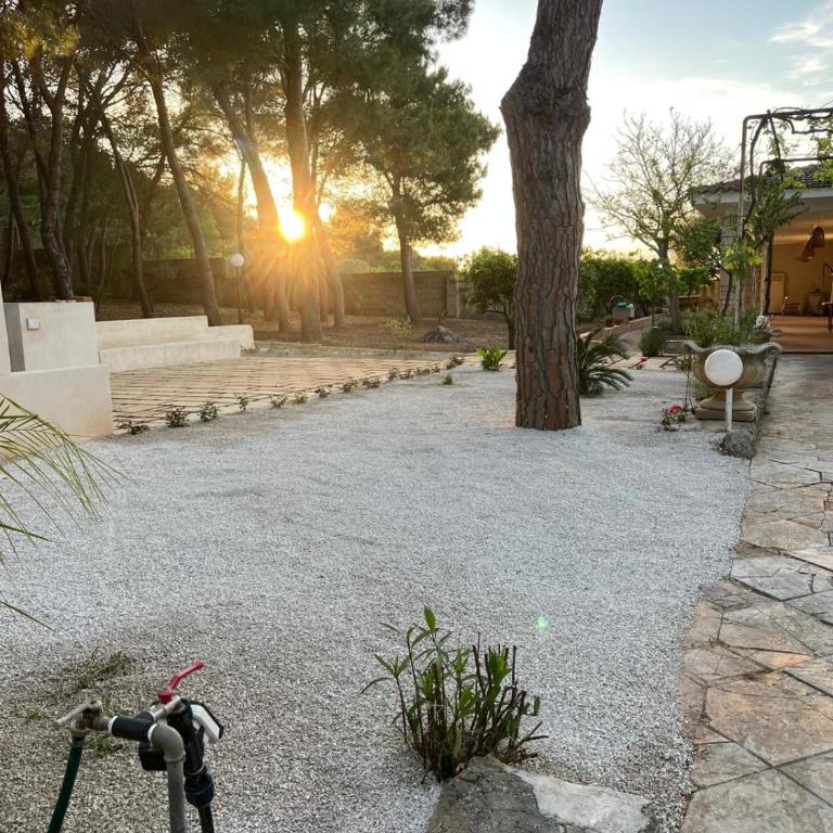 Villetta in pineta - Villa con 2 Camere da Letto - 1