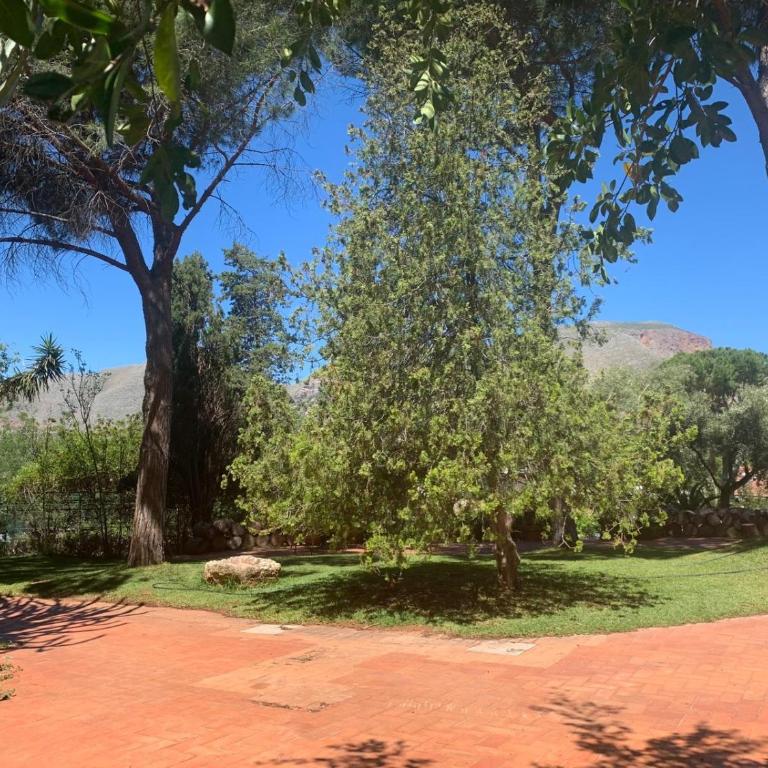 Park House - Appartamento Bilocale - 17