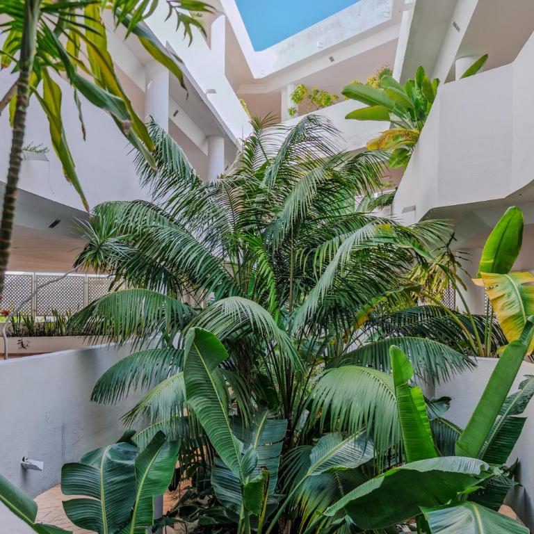 New Renovated Front Line Beach Playa Rocio Puerto Banus - Apartamento con vistas al mar - 42