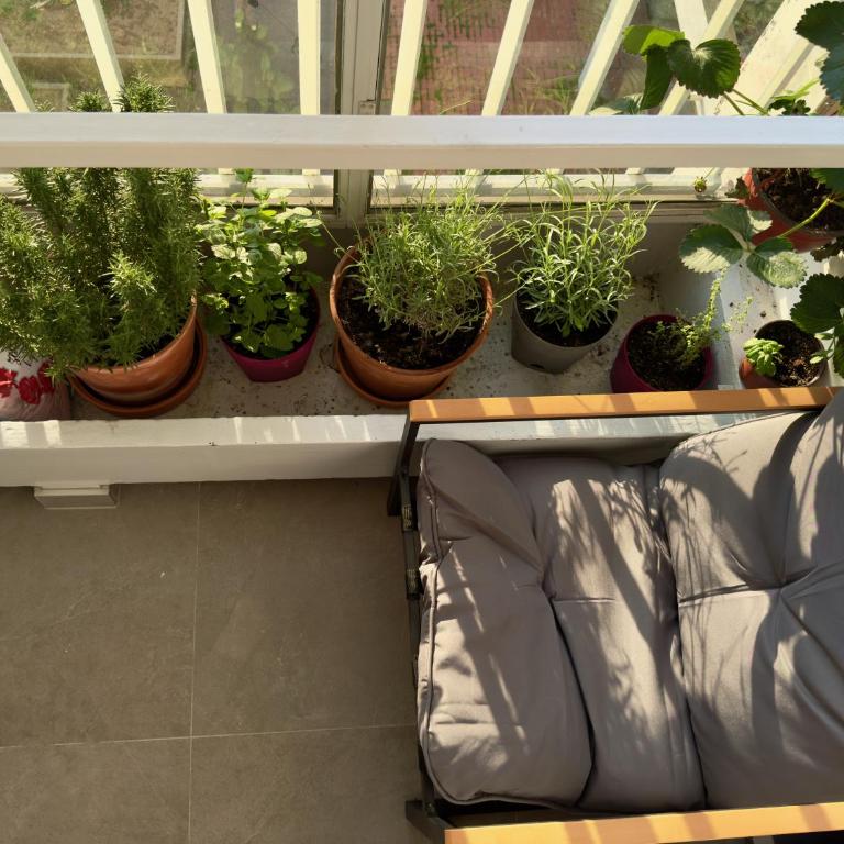 Pino - Apartman sa 1 Spavaćom Sobom - 17