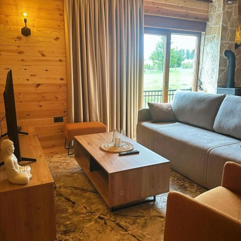 Zen house 1 Zabljak - Two-Bedroom House - 20