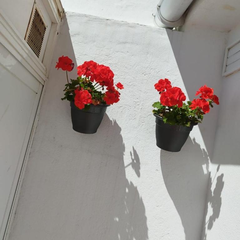 Apartamento Plumaria - Apartamento de 1 dormitorio - 22