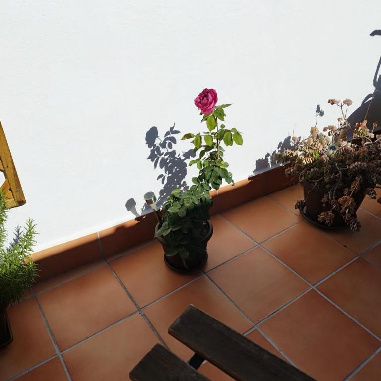 Apartamento Plumaria - Apartamento de 1 dormitorio - 17