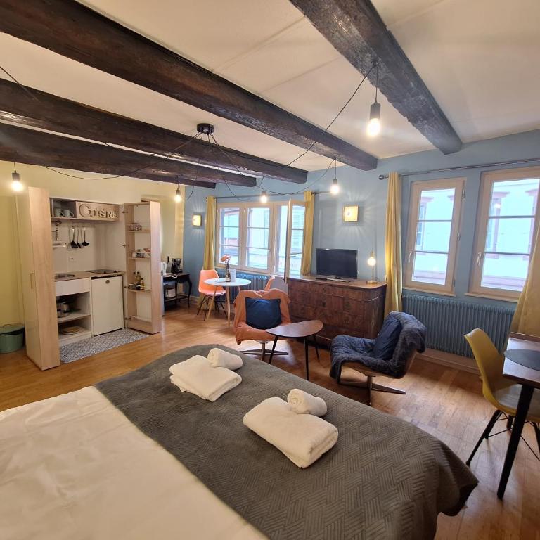 Maison Cliquot - Appartements Colmar Centre - Studio - 12