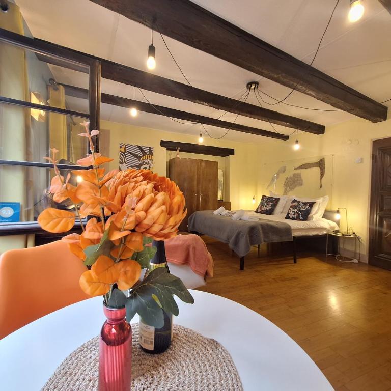 Maison Cliquot - Appartements Colmar Centre - Studio - 11