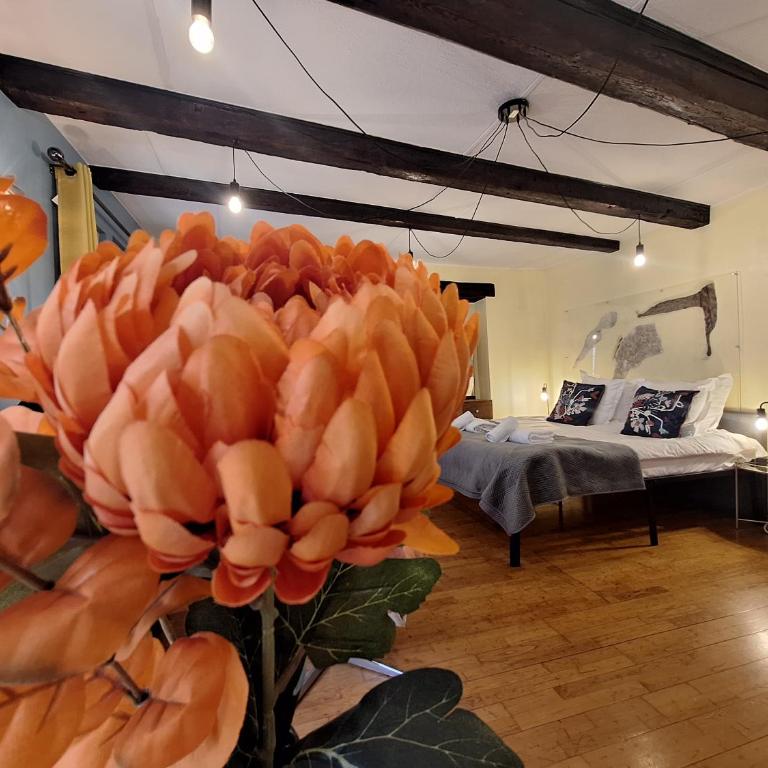 Maison Cliquot - Appartements Colmar Centre - Studio - 4
