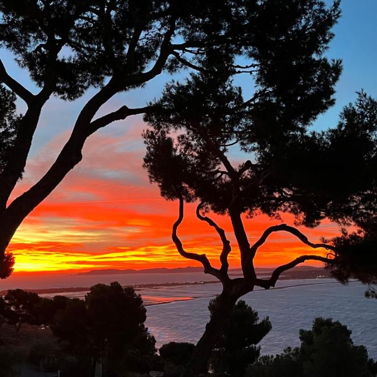 Expérience unique face à la mer et Porquerolles - Appartement - Vue sur Mer - 18