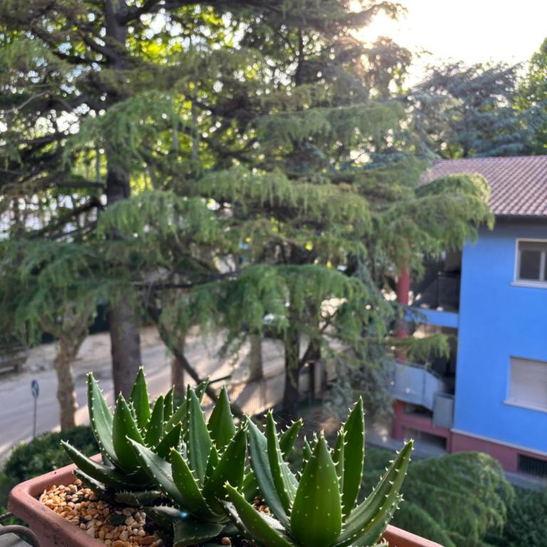 Appartamento Nuvola Bianca 2 - Appartamento con 1 Camera da Letto - 23