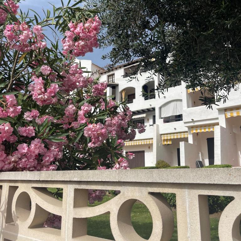 Sunny, seaside rental with pool - Apartamento de 1 dormitorio - 8