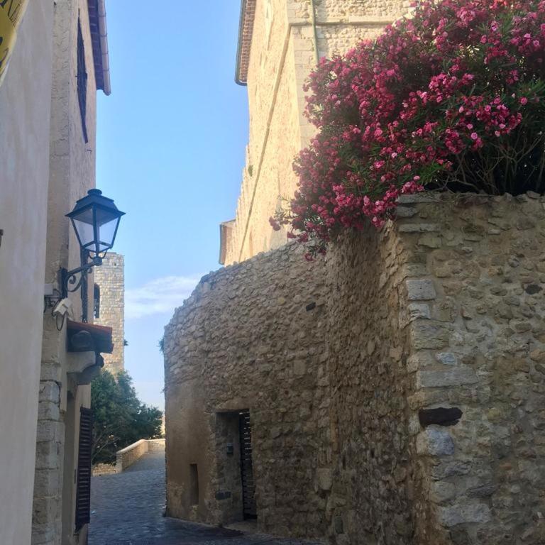 Sunny, seaside rental with pool - Apartamento de 1 dormitorio - 25