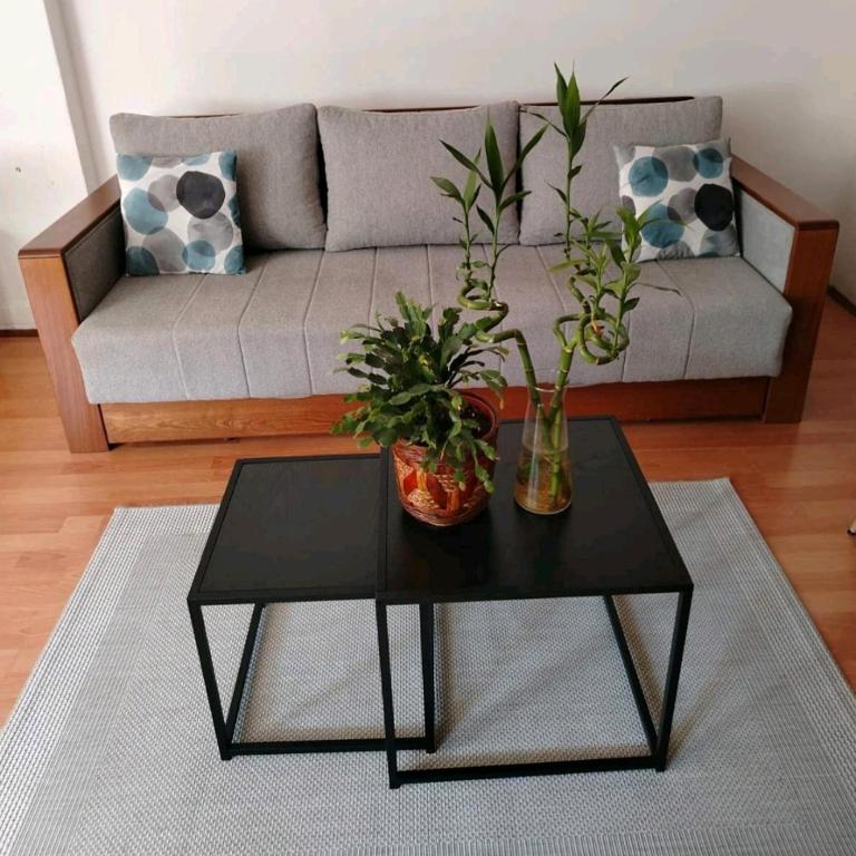 Apartman Oaza Olja - Apartman sa 1 Spavaćom Sobom - 19