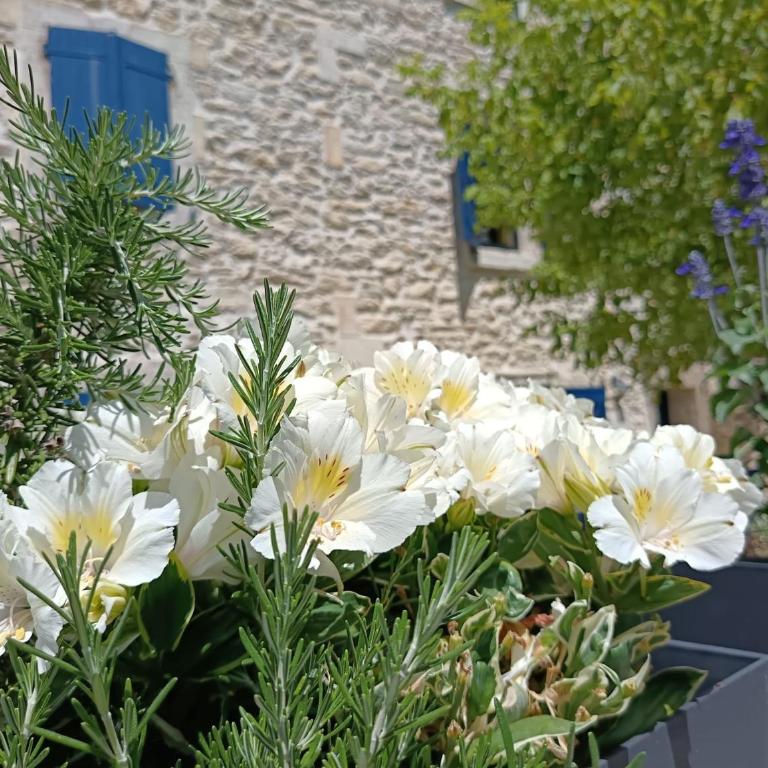 Namaste Home, votre havre de paix à St Rémy ! Parking wifi inclus - Villa - 14