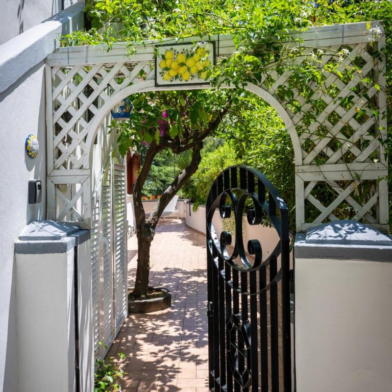 Positano Lemontree - Appartamento con 1 Camera da Letto - 6