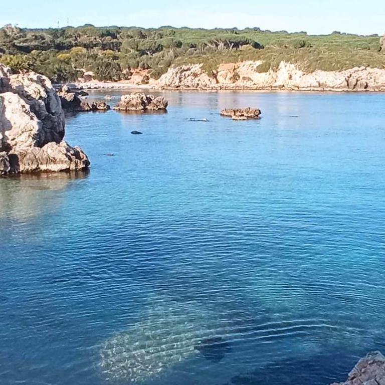 Alghero, casa di Roberto - Appartamento con Terrazza - 69