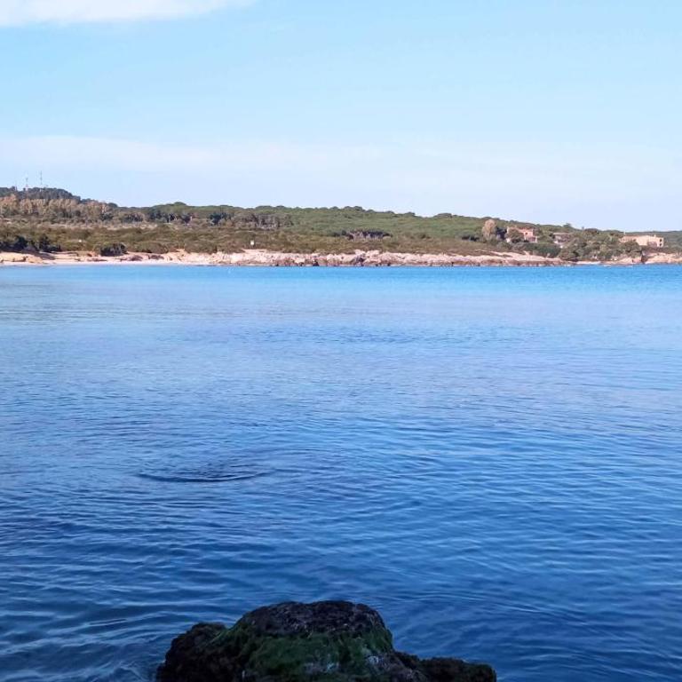 Alghero, casa di Roberto - Appartamento con Terrazza - 75
