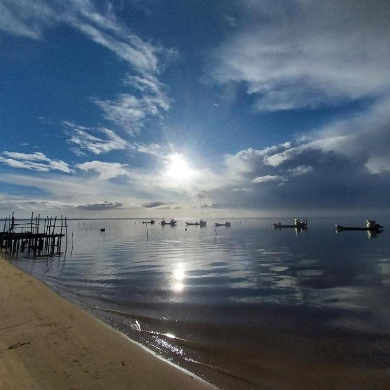 VILLA ESCAPADES AU FERRET idéal Famille ou groupe d'Amis avec piscine chauffée 5 chambres Proche plages et pistes cyclables commerces Séjour paisible au cœur du Bassin d'Arcachon Nous répondons très rapidement aux demandes de renseignements - Villa - 10