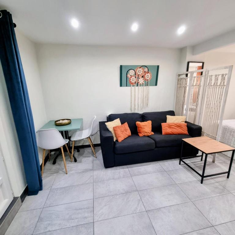 Spacious studio full of charm, recently updated - Appartement 3 Chambres - 15