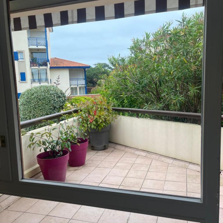 Appartement Port de Capbreton - Apartment with Garden View - 2