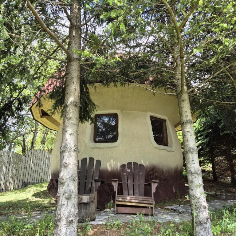Art Apartments Minic - Bungalov - 1