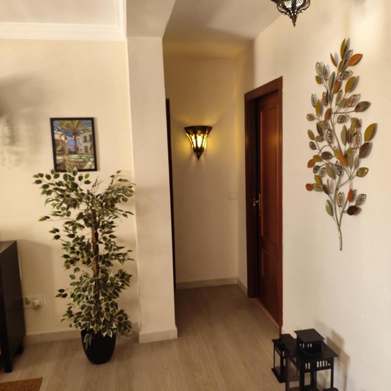 Apartamento San Cristóbal Benalmádena Costa - Apartamento de 3 dormitorios - 6