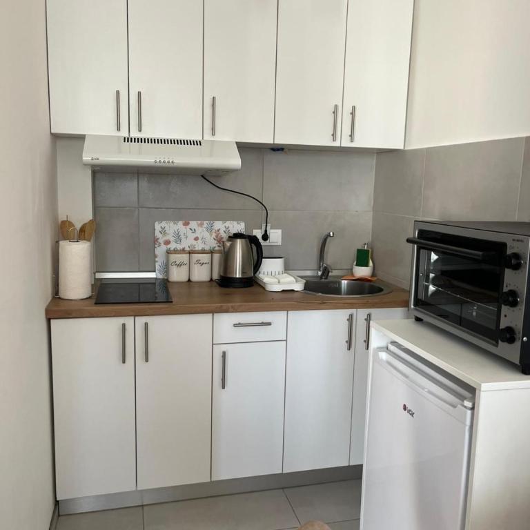 ADA Vrnjacka Banja - Apartman sa 1 Spavaćom Sobom - 6